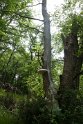 2018-05-24 11-33-41  Rando Fontainebleau DLe